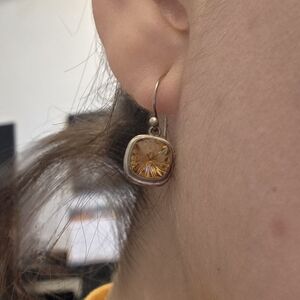 Elegant Gold-Toned Earrings